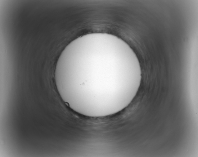 X0000088200817200705292030