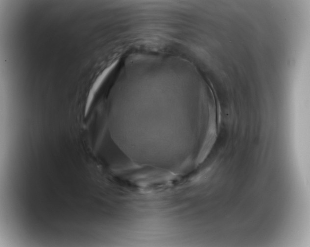 X0000088200818200705292031