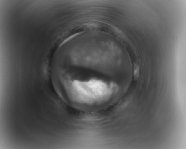 X0000088200819200705292031
