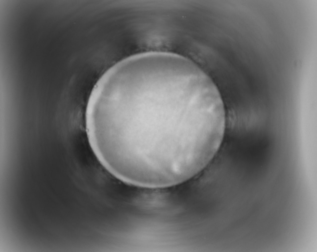X0000088200820200705292031