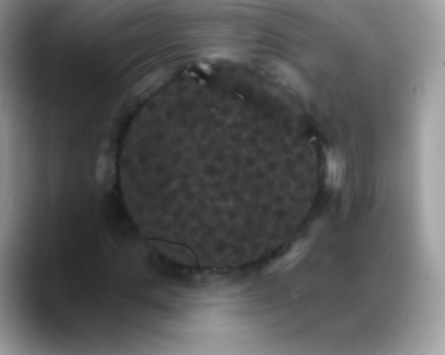 X0000088200821200705292031