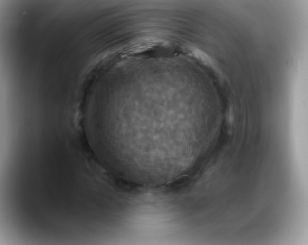 X0000088200822200705292031