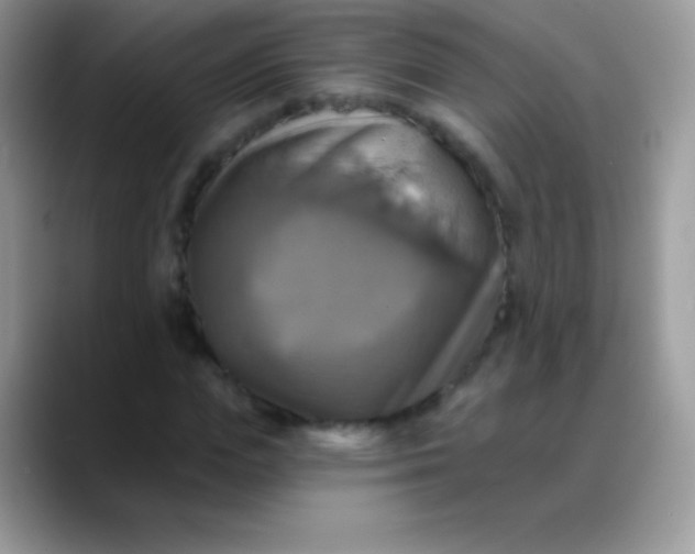 X0000088200823200705292031