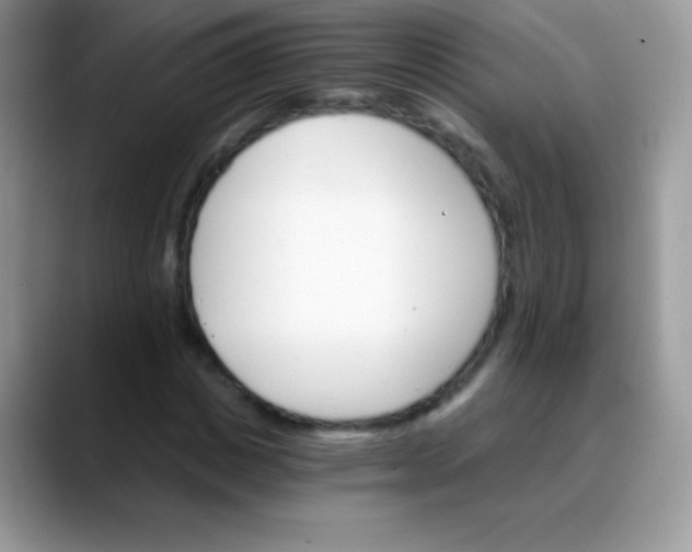 X0000088200825200705292031