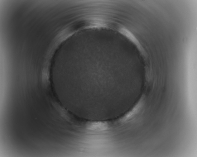 X0000088200826200705292031