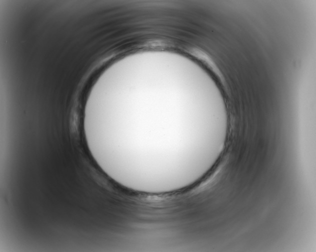 X0000088200827200705292031