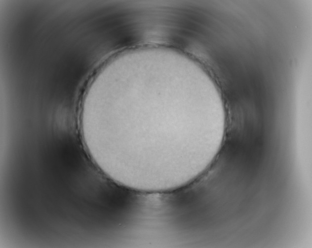 X0000088200828200705292031