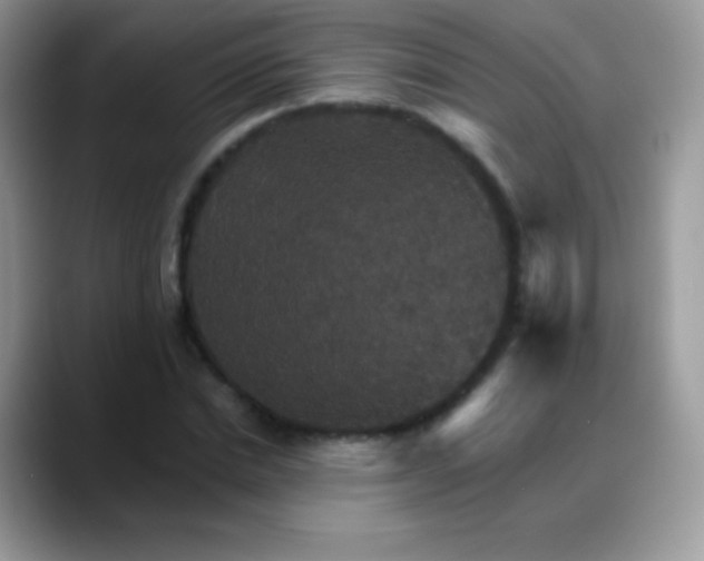 X0000088200830200705292031