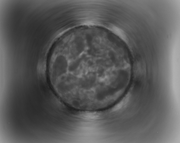 X0000088200831200705292031