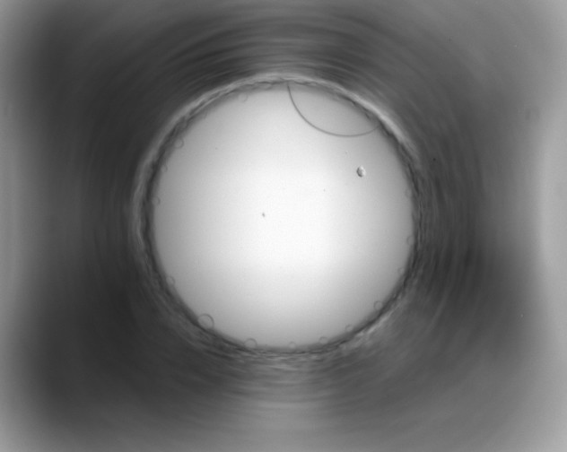 X0000088200832200705292031