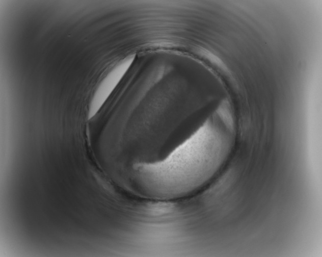 X0000088200833200705292031
