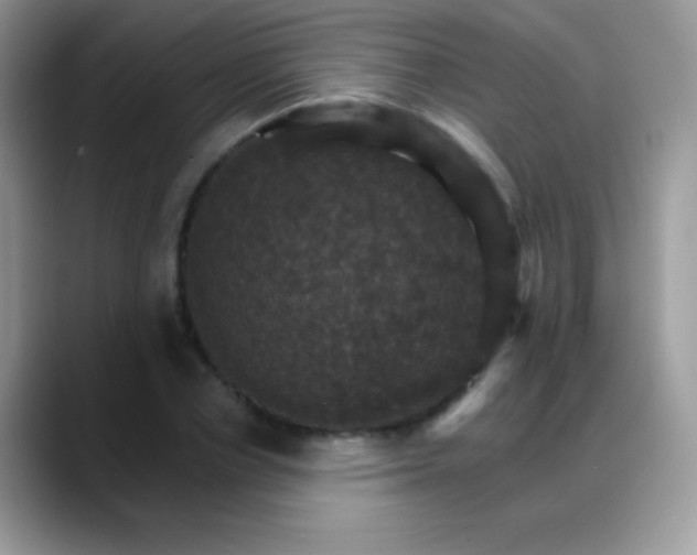 X0000088200834200705292031