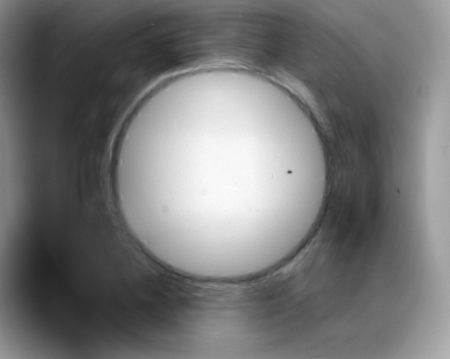 X0000088200836200705292031