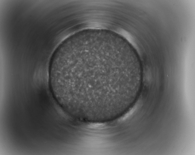 X0000088200837200705292031