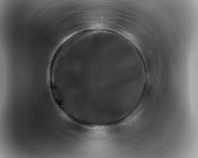 X0000088200839200705292031