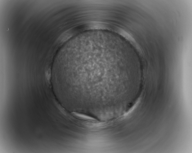 X0000088200841200705292031
