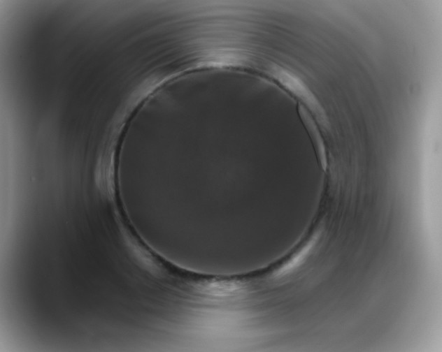 X0000088200842200705292031