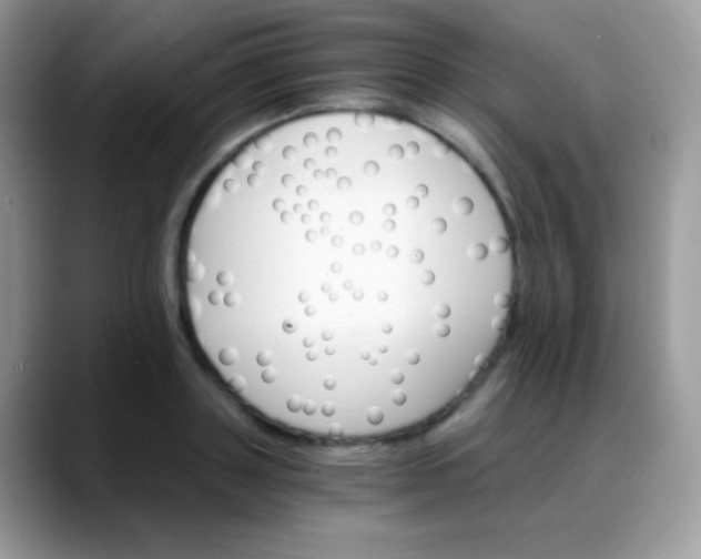 X0000088200843200705292031