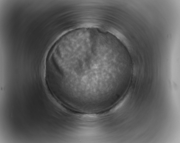 X0000088200844200705292031