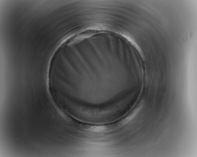 X0000088200845200705292031