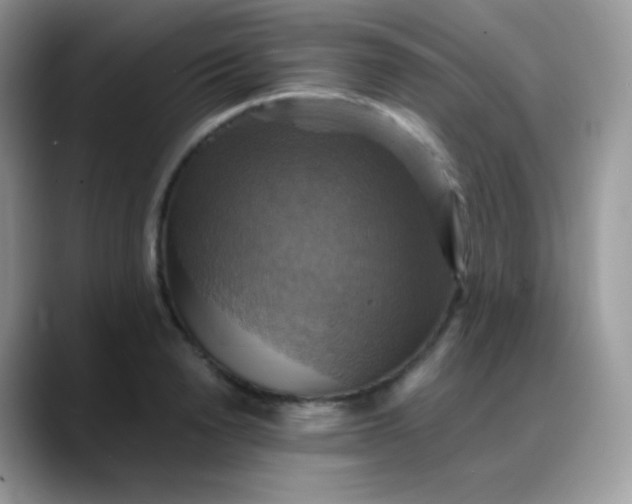 X0000088200846200705292031