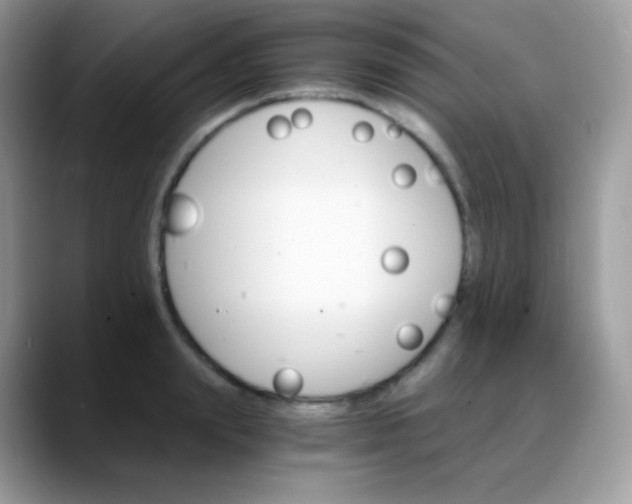 X0000088200847200705292031