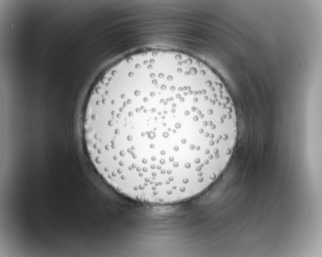 X0000088200848200705292031