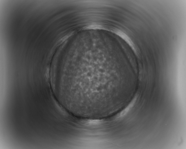 X0000088200849200705292031