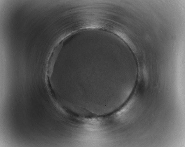 X0000088200850200705292031