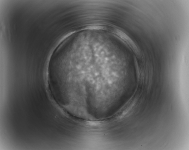X0000088200852200705292031