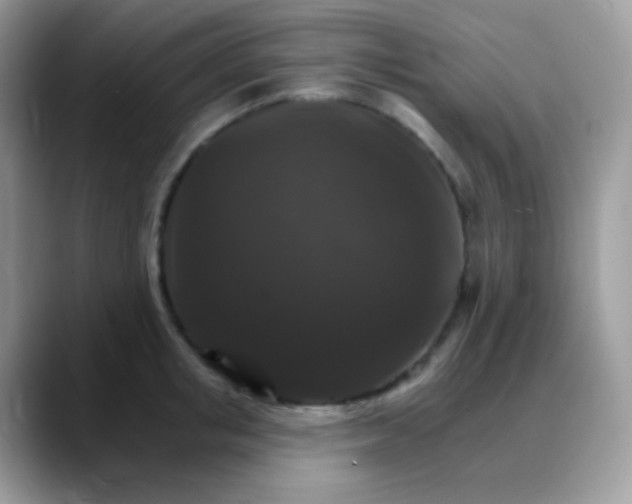 X0000088200853200705292031