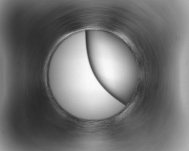 X0000088200854200705292031