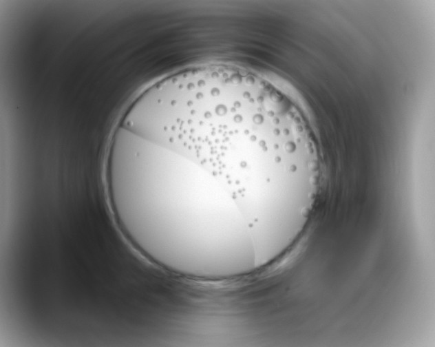 X0000088200855200705292031
