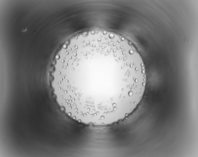 X0000088200856200705292031