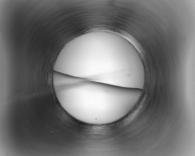 X0000088200857200705292031