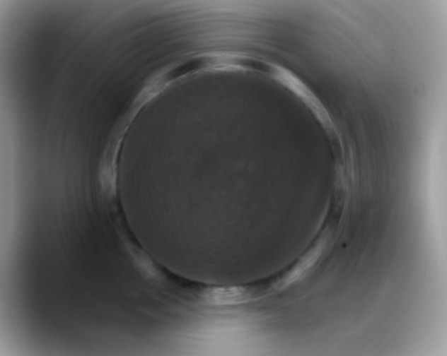X0000088200858200705292031