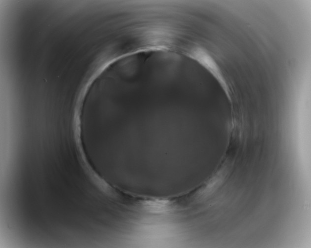 X0000088200859200705292031