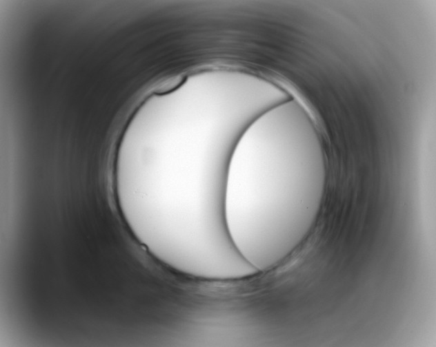 X0000088200861200705292031