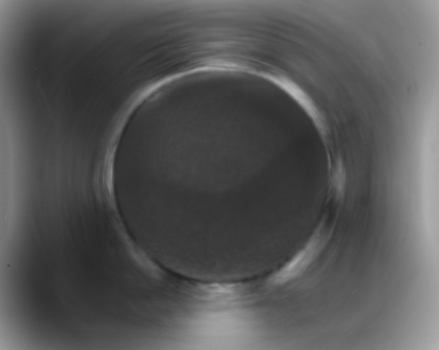 X0000088200862200705292031