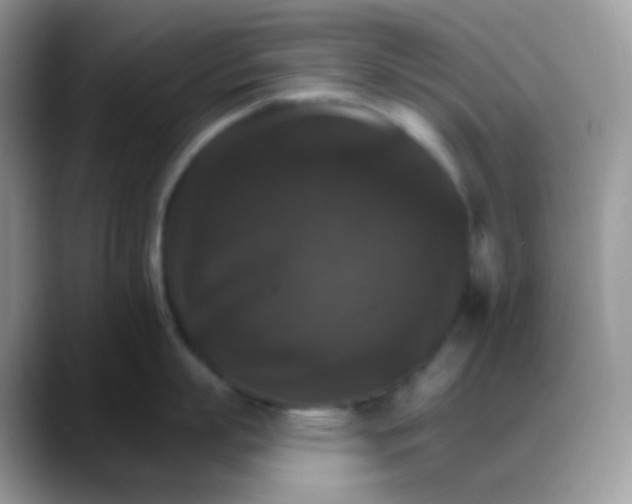 X0000088200863200705292031