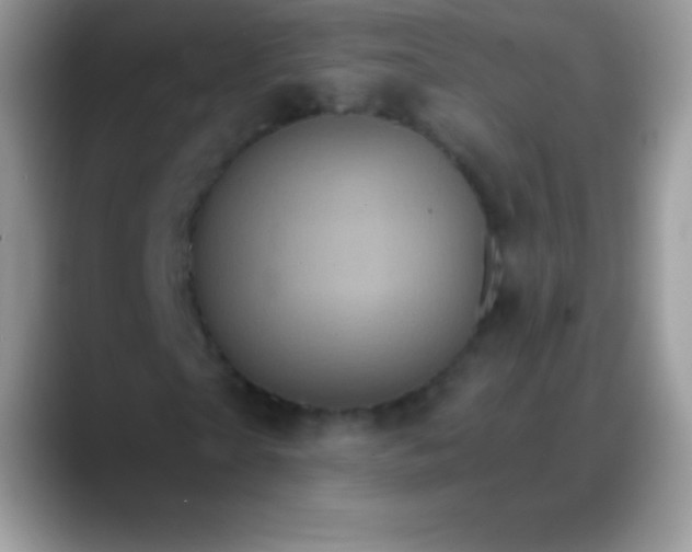 X0000088200865200705292030