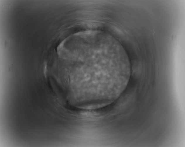 X0000088200866200705292030