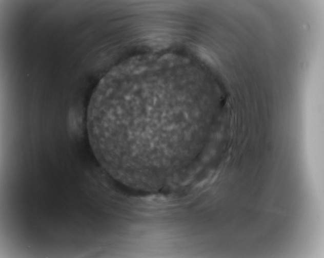 X0000088200867200705292030