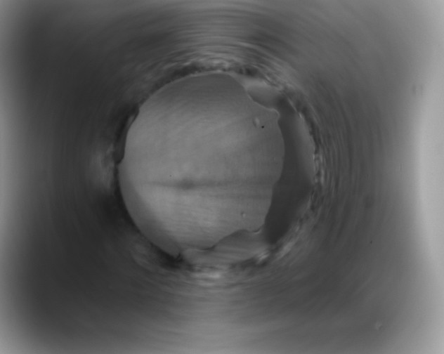 X0000088200868200705292030