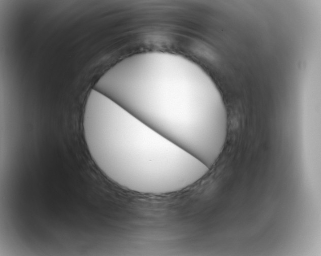 X0000088200869200705292030
