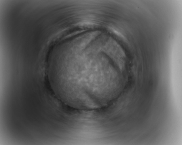 X0000088200870200705292030