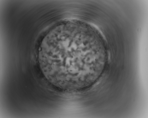 X0000088200871200705292030