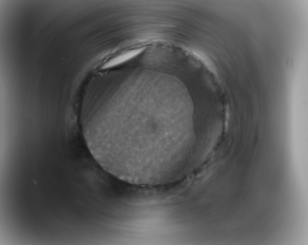 X0000088200872200705292030