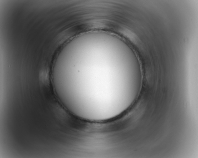 X0000088200873200705292030