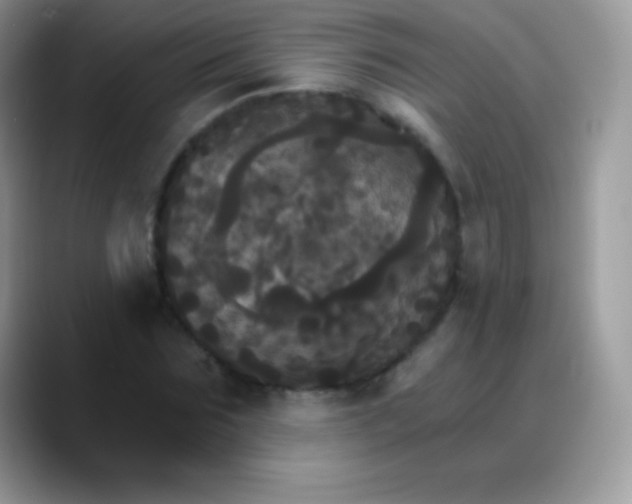 X0000088200875200705292030